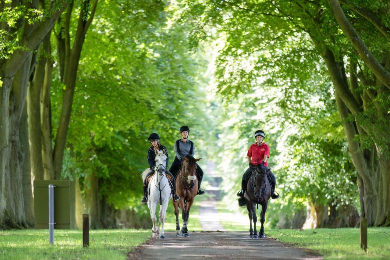 Lucknam Park Hotel Chippenham  Luaran gambar